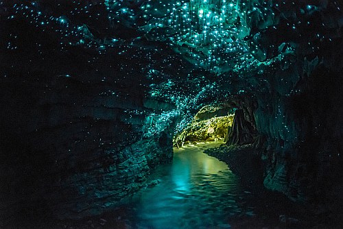Glow worm caves near Waitomo